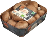 tegut... Bio-Champignons braun im tegut Prospekt tegut... Bio-Champignons braun von Naturland im aktuellen tegut Prospekt für 1,99 €