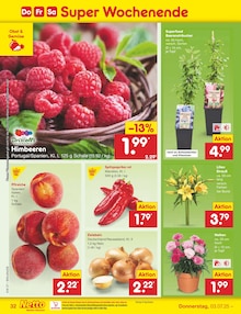 Paprika im Netto Marken-Discount Prospekt "Aktuelle Angebote" mit 55 Seiten (Paderborn)