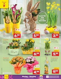 Blumen Angebot & Preis im aktuellen Netto Marken-Discount Prospekt Blumen Angebot im aktuellen Netto Marken-Discount Prospekt auf Seite 26