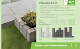 Palisaden Bora bei Raiffeisen Waren GmbH im Braunschweig Prospekt für 5,90 €
