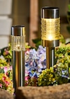 Penny - Edelstahl-Solarstecker oder Solargartenstecker Angebot im Prospekt Edelstahl-Solarstecker oder Solargartenstecker bei Penny im Prospekt "" für 3,99 €