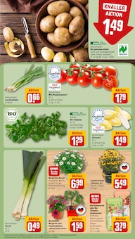 Kartoffeln im REWE Prospekt "Dein Markt" mit 30 Seiten (Nürnberg)