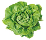Aktuelles Kopfsalat Angebot bei REWE in Bochum ab 0,99 €