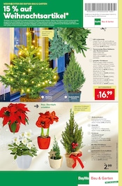 Lichterkette im BayWa Bau- und Gartenmärkte Prospekt in Aschaffenburg Aktueller BayWa Bau- und Gartenmärkte Prospekt mit Lichterkette, "Hier bin ich gern", Seite 20