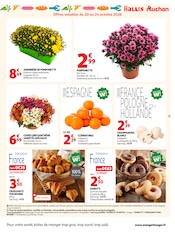 Chrysanthèmes en promo dans le catalogue Auchan Hypermarché à la page 11