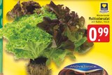Aktuelles Multicolorsalat Angebot bei EDEKA in Duisburg ab 0,99 €