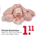Frische Kaninchen Angebote bei E center Mannheim für 1,11 €