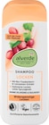 Shampoo Locken im dm-drogerie markt Prospekt Shampoo Locken von alverde NATURKOSMETIK im aktuellen dm-drogerie markt Prospekt für 1,75 €