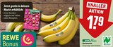 Bio Bananen Angebote von REWE Bio bei REWE Plauen für 1,79 €