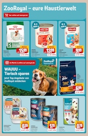 Katzentrockenfutter Angebote im Prospekt "Dein Markt" von REWE Katzentrockenfutter Angebote im Prospekt "Dein Markt" von REWE auf Seite 30