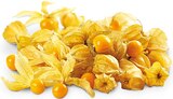 Physalis für 1,00 € bei Penny-Markt im Angebot Physalis im aktuellen Penny-Markt Prospekt