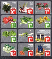 Garten Angebot im EDEKA Prospekt, gültig von 04.12.2023 bis 09.12.2023 Garten Angebot im aktuellen EDEKA Prospekt auf Seite 7