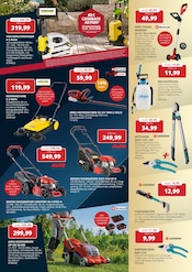 Drucker im BBM Baumarkt Prospekt in Delmenhorst Aktueller BBM Baumarkt Prospekt mit Drucker, "So schön kann Baumarkt sein", Seite 7