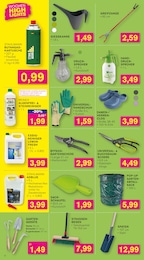 KODi Clogs im Prospekt 