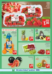 Aktueller Marktkauf Prospekt mit Kiwi, "AUSWAHL RIESIG, PREISE NIEDRIG", Seite 10