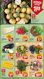 Pflanzen Angebote im Prospekt "Dein Markt" von REWE auf Seite 9