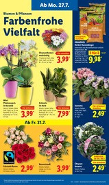 Rasendünger im Lidl Prospekt in Worms Aktueller Lidl Prospekt mit Rasendünger, "LIDL LOHNT SICH", Seite 7