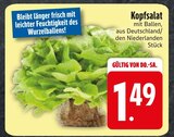 Kopfsalat im Angebot bei EDEKA in Ravensburg Kopfsalat Angebote bei EDEKA Ravensburg für 1,49 €
