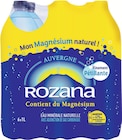 Eau minérale naturelle gazeuse - ROZANA - Intermarché Super à Aulnay-sous-Bois Eau minérale naturelle gazeuse - ROZANA en promo chez Intermarché Super Aulnay-sous-Bois à 0,88 €