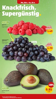 Obst im Penny Prospekt "Wer günstig will, muss Penny." mit 38 Seiten (Duisburg)