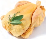 Frisches spanisches Maishähnchen für 5,49 € bei Netto mit dem Scottie im Angebot Frisches spanisches Maishähnchen im aktuellen Netto mit dem Scottie Prospekt