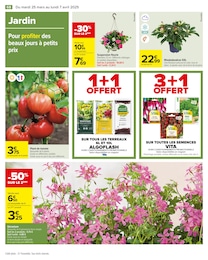 Offre Plant De Tomates dans le catalogue Carrefour du moment à la page 70