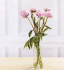 Hyper U Fresnes-lès-Montauban - Promo Bouquet de 5 Pivoines Promo Bouquet de 5 Pivoines à 5,99 € dans le catalogue Hyper U à Fresnes-lès-Montauban
