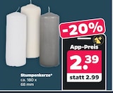 Aktuelles Stumpenkerze Angebot bei Netto mit dem Scottie in Cottbus ab 2,39 €