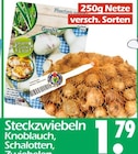 Steckzwiebeln Angebote bei Wreesmann Cottbus für 1,79 €