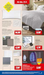 Fenster Angebot & Preis im aktuellen Lidl Prospekt Fenster Angebot im aktuellen Lidl Prospekt auf Seite 25