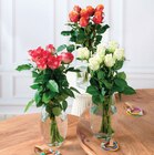Bouquet de 7 roses africado en promo chez U Express Boulogne-Billancourt à 6,99 €