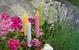 Aktuelle Kerzen Angebote bei Hagebaumarkt in Moers Aktuelles Gartenfackel Queen Angebot bei Hagebaumarkt in Moers ab 2,99 €