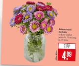 Asternstrauß Harlekin im Angebot bei Marktkauf in Göppingen Asternstrauß Harlekin Angebote bei Marktkauf Göppingen für 4,99 €