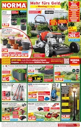 Norma Prospekt aktuelle Angebote