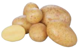Speisefrühkartoffeln für 1,99 € bei EDEKA im Angebot Speisefrühkartoffeln im aktuellen EDEKA Prospekt