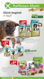 Forelle im Raiffeisenmarkt Prospekt in Dorsten Aktueller Raiffeisenmarkt Prospekt mit Forelle, "Glück beginnt im Napf!", Seite 1