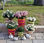 Aktuelles Gans Keramik Angebot bei Garten-Center Nordharz GmbH & Co. KG in Wolfsburg ab 5,49 €