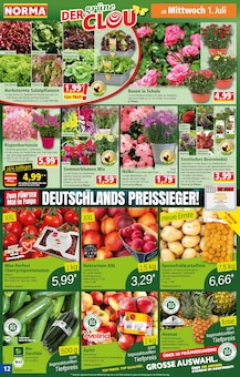 Äpfel im Norma Prospekt "Mehr fürs Geld" mit 19 Seiten (Hannover)