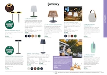 Offre Lampe Solaire dans le catalogue Botanic du moment à la page 57