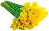 Aktuelle Blumen Angebote bei REWE in Mannheim Aktuelles Feld-Narzissen Angebot bei REWE in Mannheim ab 0,99 €