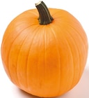 Halloween Kürbis Angebot im Netto mit dem Scottie Prospekt Halloween Kürbis im Netto mit dem Scottie Prospekt zum Preis von 3,89 €