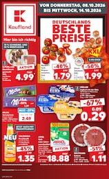 Kaufland Prospekt für Angermünde mit 70 Seiten Kaufland Prospekt für Angermünde: "Hier bin ich richtig", 70 Seiten, 08.10.2026 - 14.10.2026