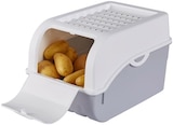 Zwiebelbox oder Kartoffelbox im aktuellen REWE Prospekt