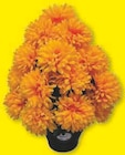 Pot Chrysanthemes 9 Tetes en promo chez Super U Savigny-sur-Orge à 5,49 €