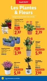 Prospectus Lidl "Champions de la fraicheur !" en cours à Bourges, Page 26 Catalogue Lidl en cours à Bourges, "Champions de la fraicheur !", Page 26