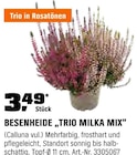 Besenheide "Trio Milka Mix" Angebote bei OBI Kaarst für 3,49 €