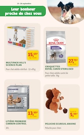 Promos Jouets dans le catalogue "Ouverture" de Maxi Zoo Jouets en promo dans le catalogue Maxi Zoo à la page 2