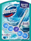 WC-Stein Power 5 von Domestos im aktuellen budni Prospekt