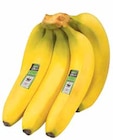 Bio Bananen im Angebot bei E center in Regensburg Bio Bananen Angebote von EDEKA bei E center Regensburg für 1,79 €