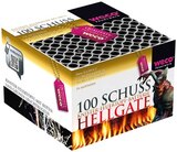 Aktuelles Hellgate Angebot bei Penny in Freital ab 6,99 €